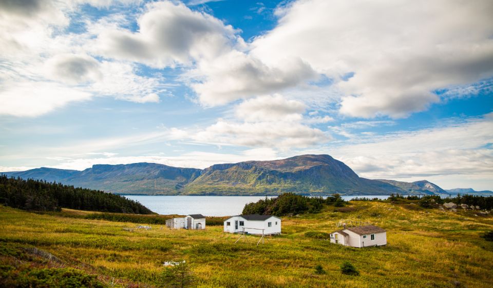 Corner Brook: Woods Island Adventure 3-Hour Zodiac Tour