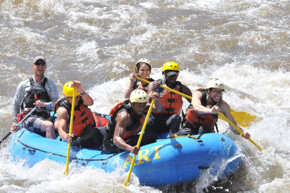Cotopaxi: Bighorn Sheep Canyon Whitewater Rafting Tour - Experience and Activities