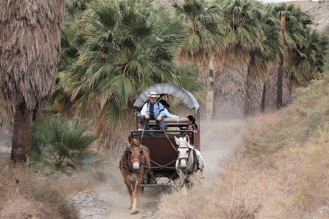 Covered Wagon Adventure & BBQ - Tour Details and Logistics