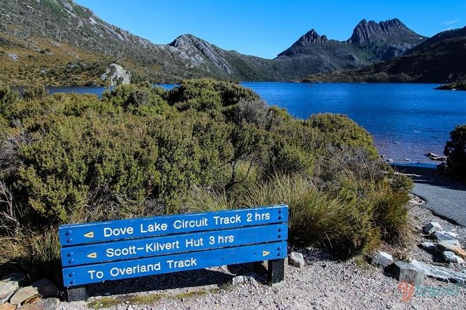 Cradle Mountain Guided Walk With Gourmet Hamper - Tour Highlights
