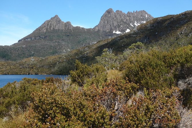 Cradle Mountain Wildlife Spotting After Dark - Tour Overview and Highlights