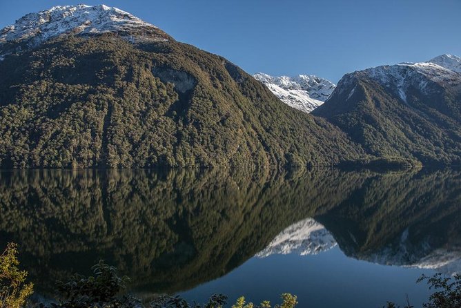 Cruise Milford Small Group Day Tour From Queenstown - Booking Information