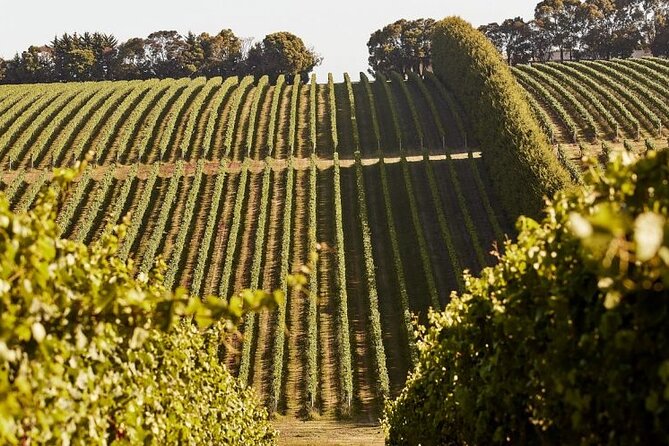 Customized Private Winery Day Tour in Mornington Peninsula at Your Own Choices - Tour Itinerary Options