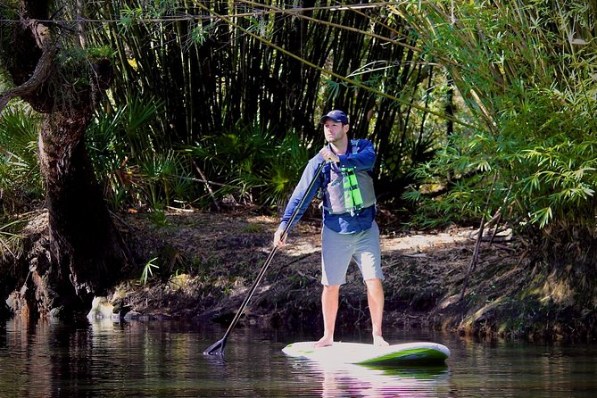 Cypress Forest Guided Kayak Nature Eco-Tour
