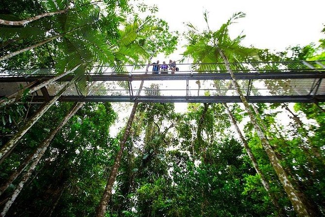 Daintree Discovery Centre Family Pass Ticket - Visitor Experience Highlights