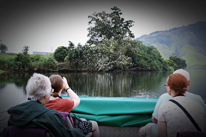 Daintree River Wildlife Cruise – Early Morning