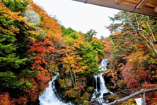 Daytrip to Nikko From Tokyo With Local Japanese Photograher Guide