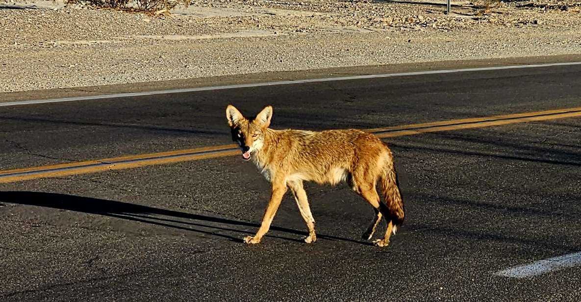 Death Valley National Park Tour From Las Vegas - Booking Details and Policies