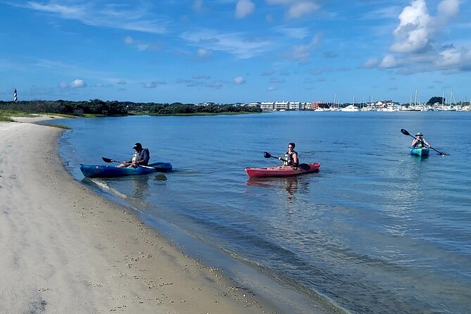 Deluxe Dolphin Kayak Tour - Tour Highlights and Customer Reviews