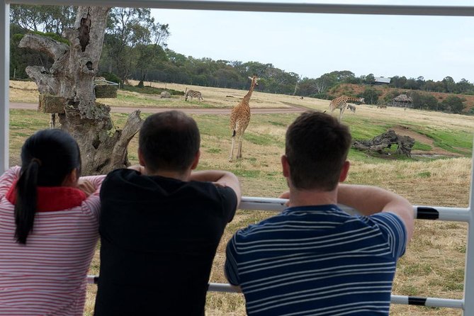 Deluxe Safari Adventure at Werribee Open Range Zoo – Excl. Entry