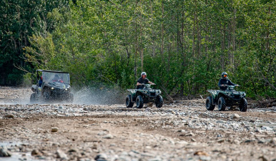 Denali National Park: Wilderness ATV Adventure