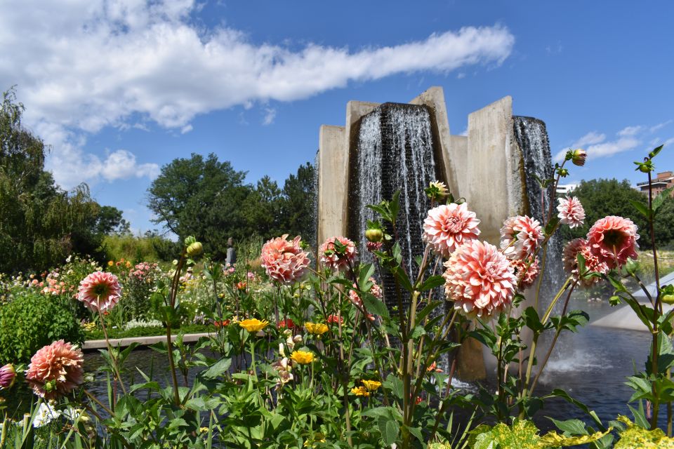 Denver City Walking Tour - Tour Overview