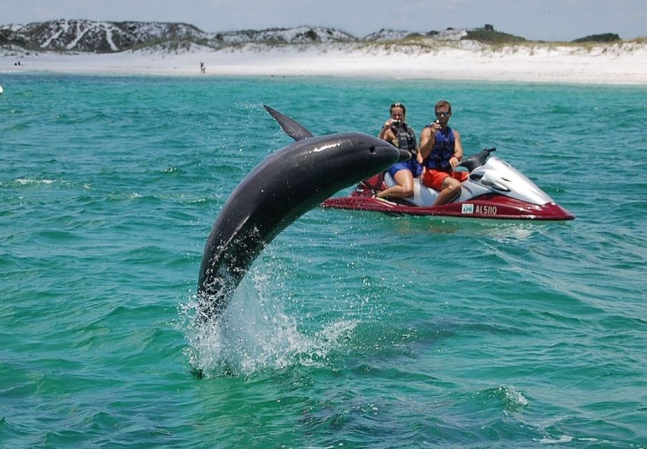 Destin: Crab Island Dolphin Watching Jet Ski Tour - Booking Details