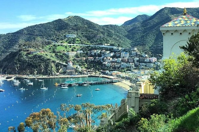 Discover Avalon: Catalina Scenic Tour - Tour Overview