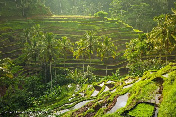 Discover Best Of Bali in 2 Day Private Tour Package-All Included - Tour Itinerary Highlights