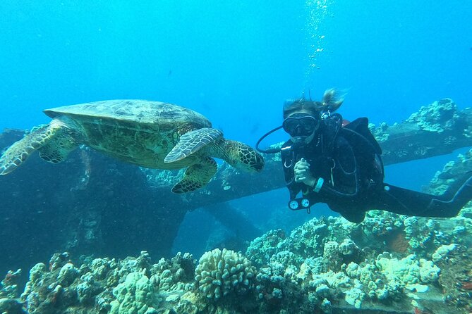 Discover Scuba Diving Class - Lahaina - Experience Information