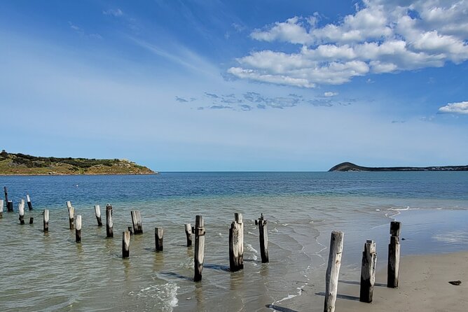 Discover Victor Harbor Walking Tour - Highlights of Victor Harbor Walking Tour