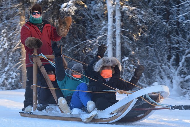 Dog Sledding and Mushing Experience in North Pole - Booking Details
