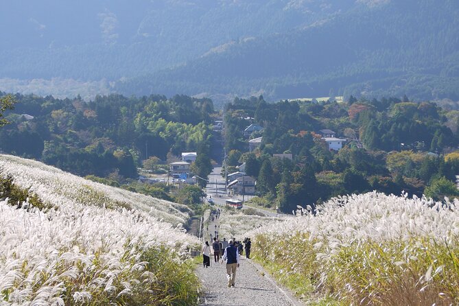 Easygoing Nature Walk in Hakone Tour - Tour Overview