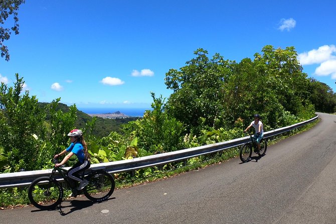 Ebike Tour Honolulu Rainforest - Tour Details