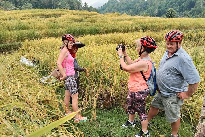 Electric Bicycle Tour in Jatiluwih UNESCO Site - Itinerary Highlights