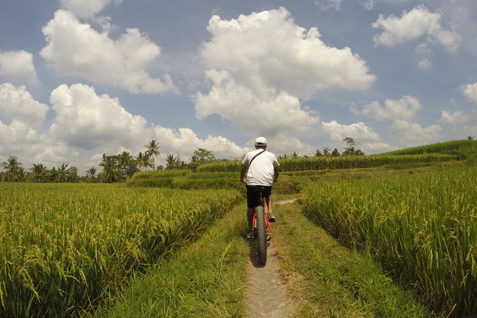 Electric Bike Tour in Ubud - Tour Overview