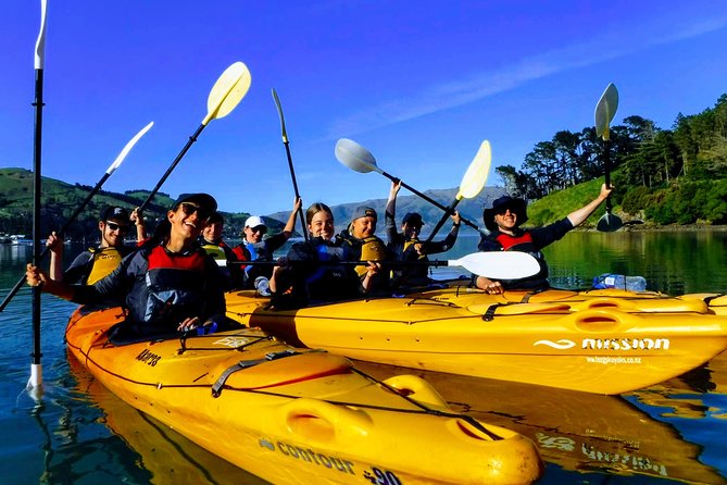 Electric Mountain Bike & Sea Kayak Tour in Akaroa