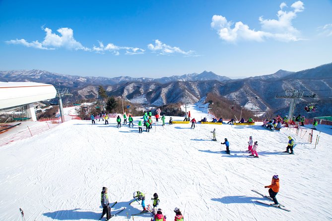 Elysian Gangchon Ski Resort With Nami Island Day Tour From Seoul