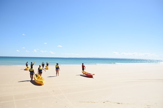 Epic Rainbow Beach Dolphin Kayak and 4WD Adventure Tour - Tour Overview