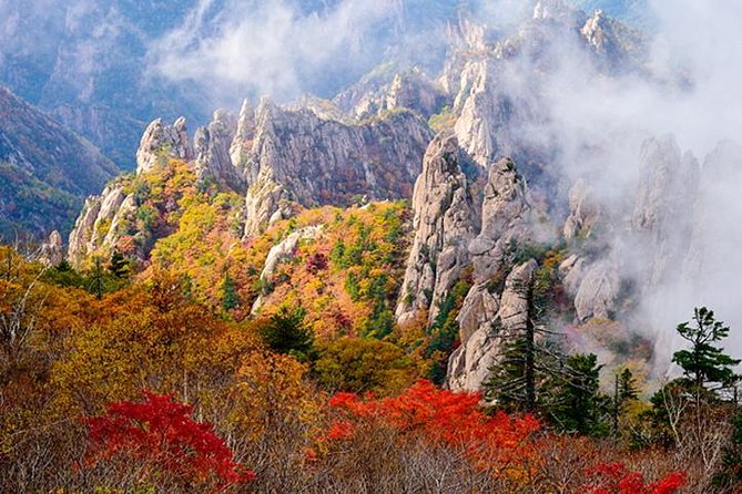 Essential Autumn Foliage of Korea 3 Days With Sorak and Odaesan Mountain - Highlights of Sorak Mountain Visit