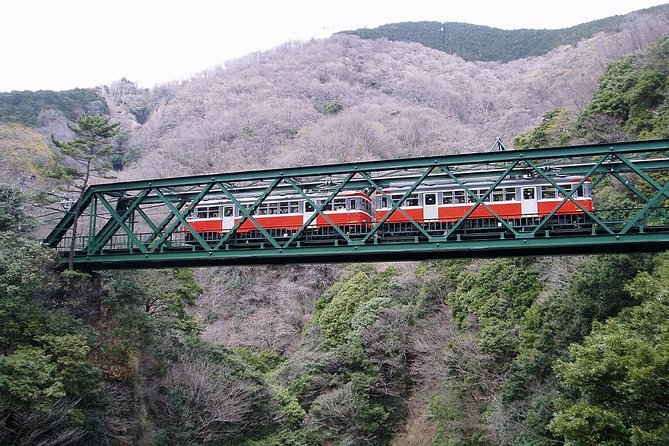 Exciting Hakone - One Day Tour From Tokyo - Tour Highlights