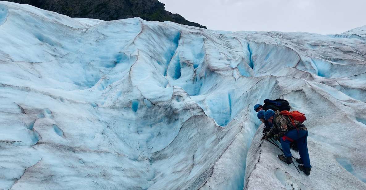 Exit Glacier Ice Hiking Adventure From Seward - Activity Details