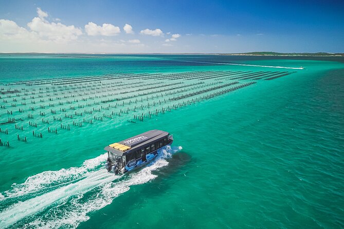 Experience Coffin Bay Oyster Farm and Bay Tour