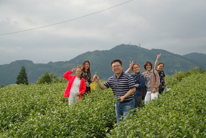 Experience Tea Picking With a Tea Farmer, and Tempura Lunch With Picked Tea Leaves