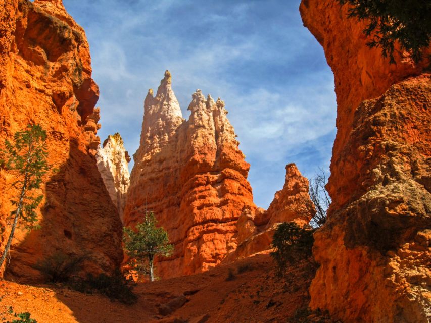 Explore Bryce Canyon: Private Full-Day Tour From Salt Lake - Tour Details and Logistics