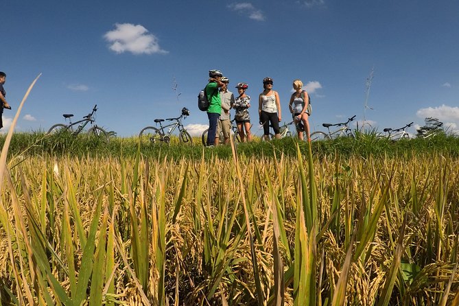Explore Ubud With Electric Bike - Why Choose Electric Bikes in Ubud