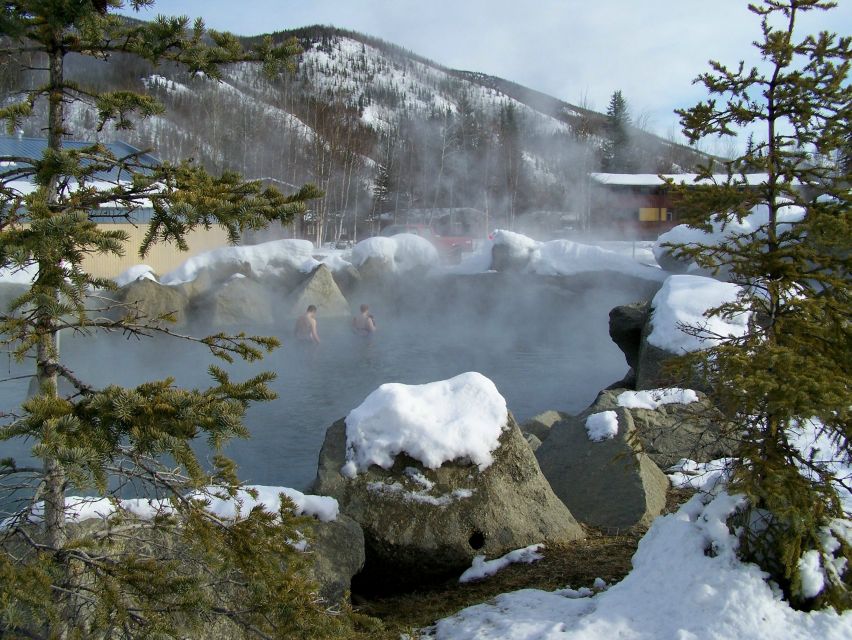 Fairbanks: Northern Lights and Chena Hot Springs Tour - Activity Details