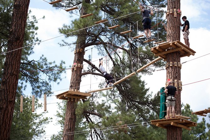 Flagstaff Extreme Adventure Course-Adult Course - Location and Duration