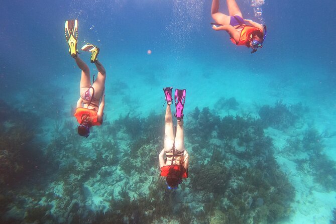 Florida Keys Snorkeling Adventure  - Key Largo - Tour Details
