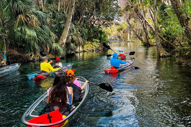 Florida: Silver Springs Small-Group Clear Kayaking Tour  – Orlando