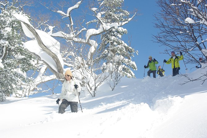 Fluffy New Snow and the Earth Beating, Goshougake Oyunuma Snowshoeing Tour