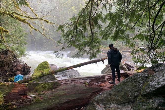 Forest Hike to Gorgeous Twin and Snoqualmie Falls - Inclusions and Logistics
