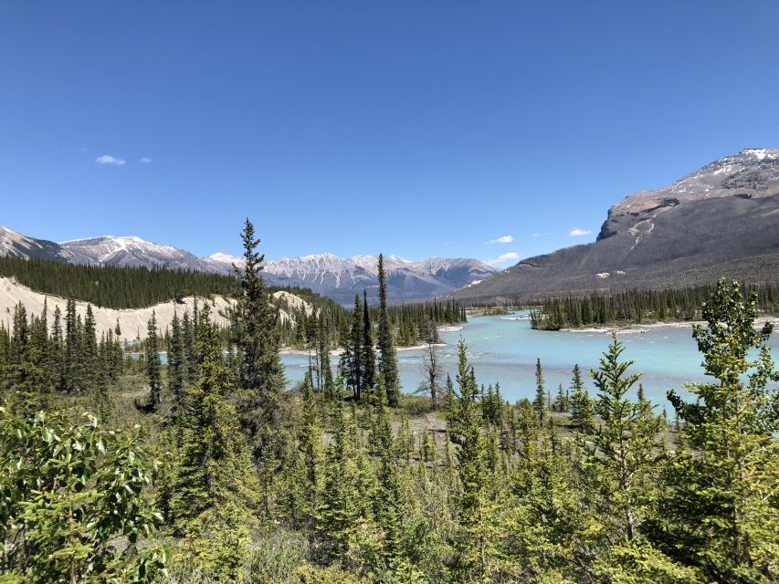 From Banff: Icefield Parkway Scenic Tour With Park Entry - Tour Overview