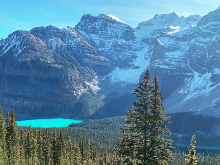 From Banff or Lake Louise: Moraine Lake & Larch Valley Hike