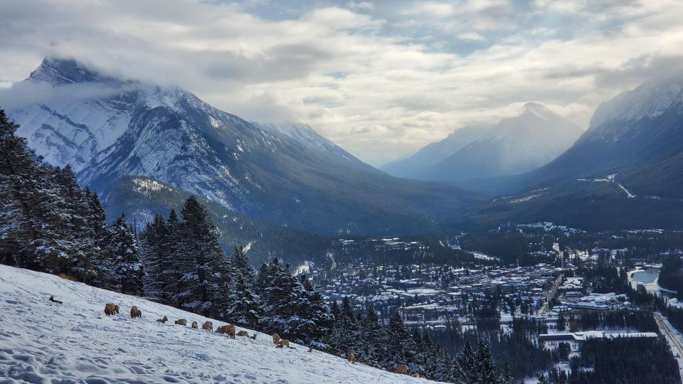 From Calgary: Banff National Park Day Trip