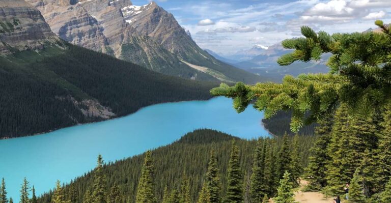 From Calgary: Icefields Parkway Route Tour W/Hotel Transfers