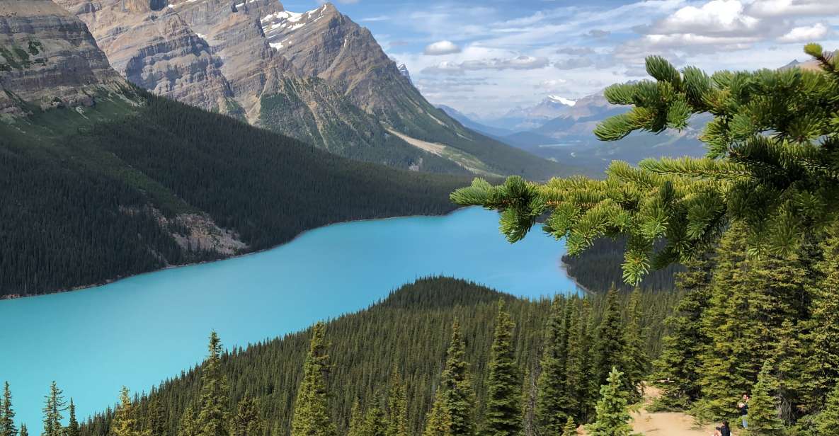 From Calgary: Icefields Parkway Route Tour W/Hotel Transfers - Activity Details