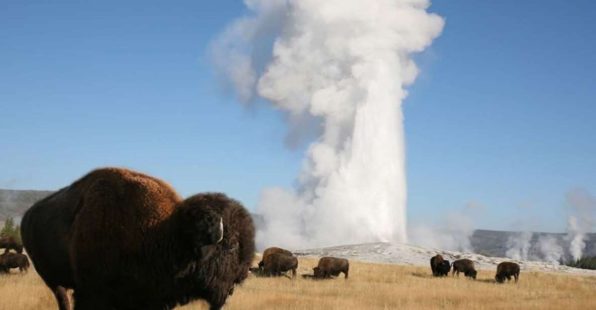 From Cody: Full-Day Yellowstone National Park Tour - Tour Duration and Guide Information