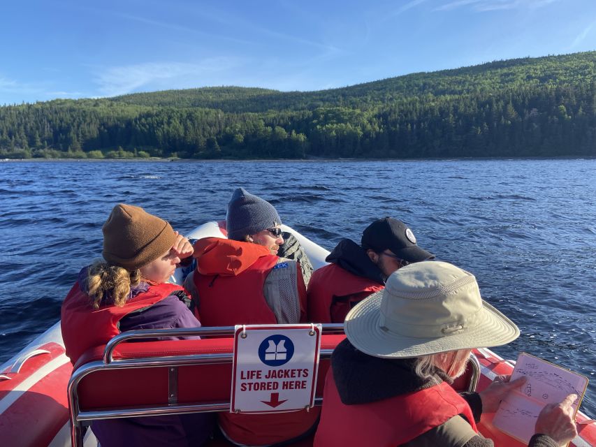 From Corner Brook : Bay Of Islands Island Zodiac Boat Tour