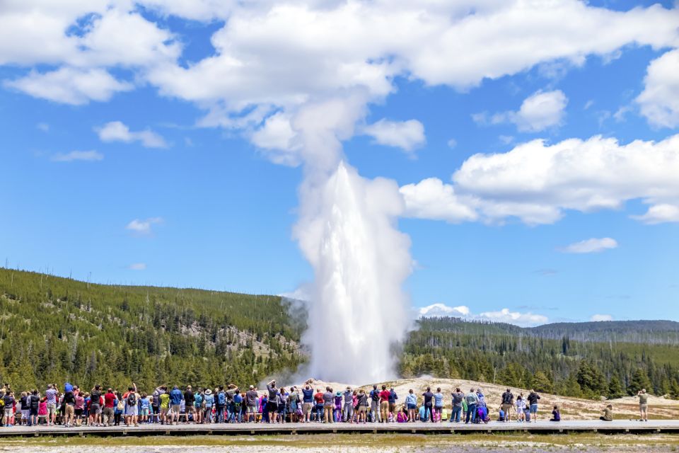 From Jackson: Yellowstone Day Tour Including Entrance Fee - Tour Overview